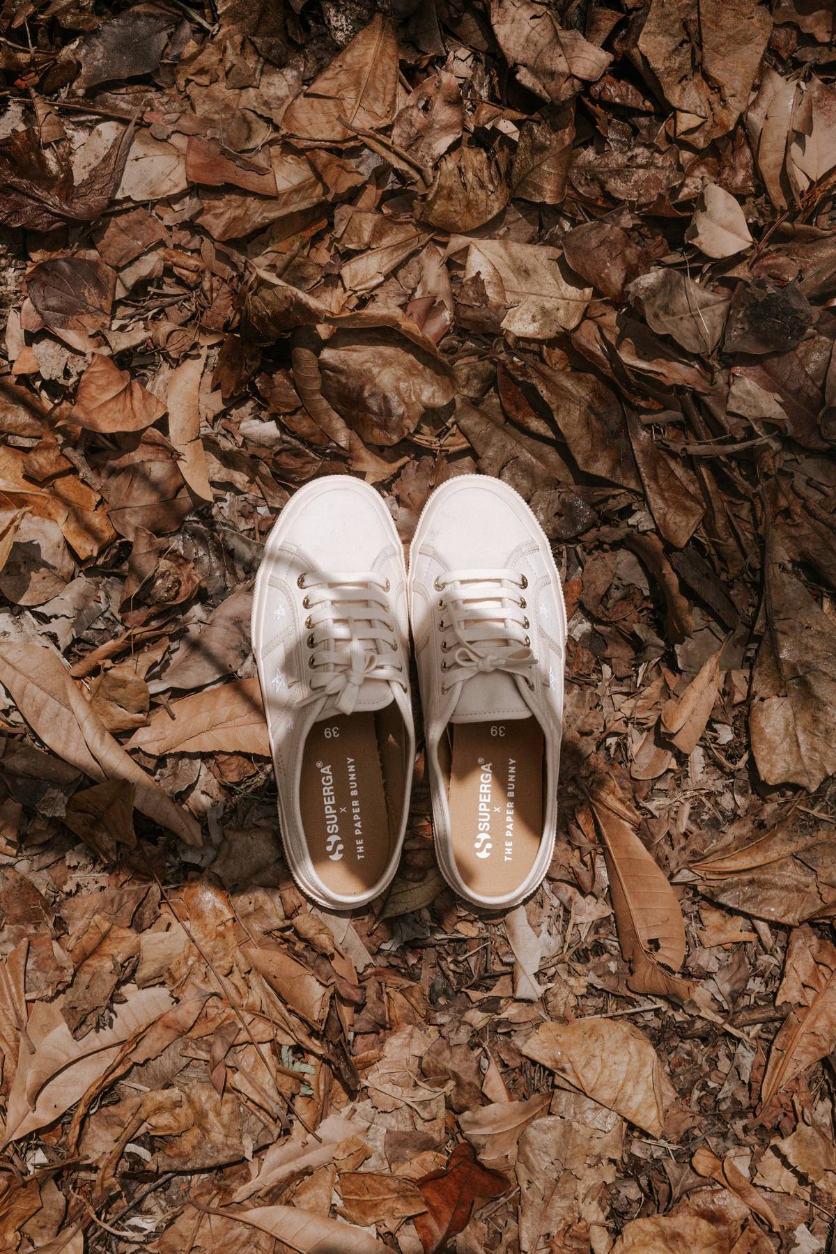 Superga x the paper bunny on sale